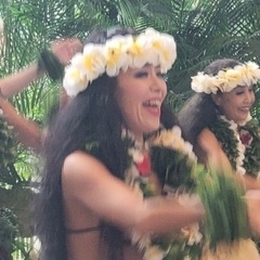 浦和　田島🌺フラダンス🌺　🔰初心者、シニアの方も大歓迎！の画像