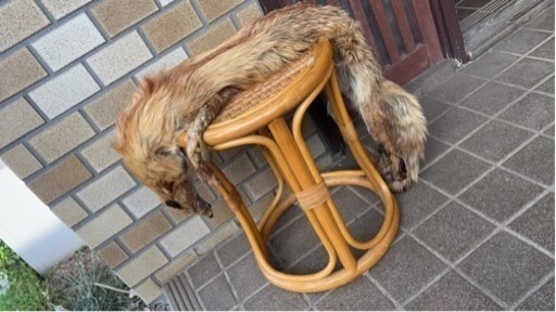 毛皮