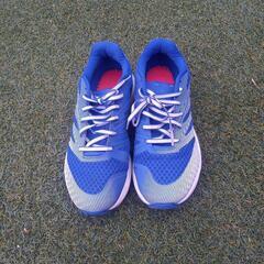 ノースフェイス　FAST FOAMの画像