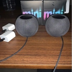 Apple Home Pod mini スペースグレイ　２つセット　美品