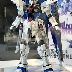 抽選販売当選品 超合金フリーダムガンダム Ver.GCPの画像