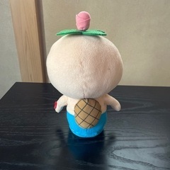 はなかっぱ　しゃべります。手渡し希望神奈川県平塚市の画像