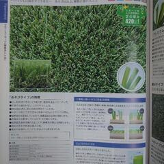 人工芝クローバーターフの画像