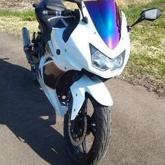 Kawasaki ninja 250r