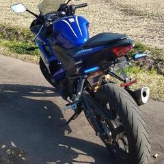 2019 Yamaha 320cc の画像
