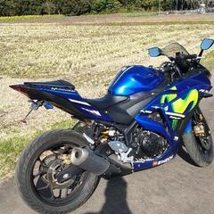 2019 Yamaha 320cc の画像