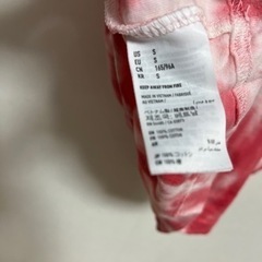 アメリカンイーグルの画像