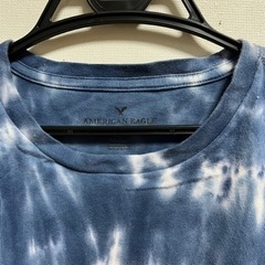 アメリカンイーグルの画像