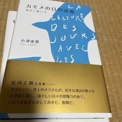 カモメの日の読書