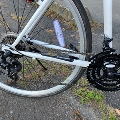 ロードバイク中古の画像