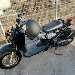 最終値下げ【美品】ズーマー(50cc)