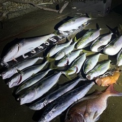 友漁船（第二隆福丸） − 徳島県