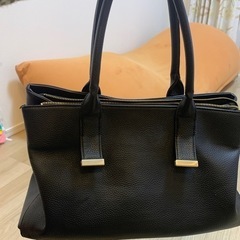 PLSTのバッグ　の画像