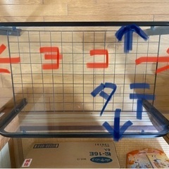 ガラステーブル