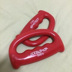 秦運動具工業 リズミーファイター 500g 2個組