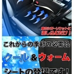 車用クール＆ウォームシートの画像