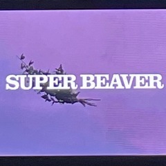  SUPER BEAVERが好きな人
