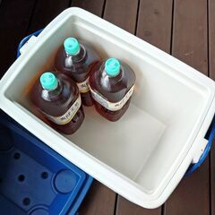 【中古】コールマン　クーラーボックス　ポリライト　16qtの画像