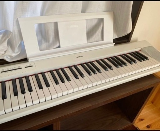 piaggero（ピアジェーロ）NP-12WH