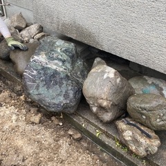 庭石　まだあります