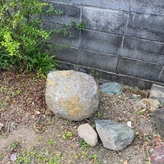 庭石　まだありますの画像