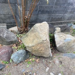庭石　まだありますの画像