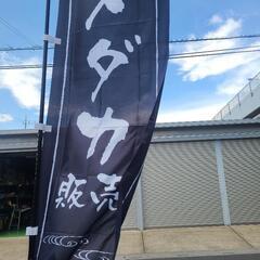 GW最後のメダカ販売会&メダカ掬いやります！