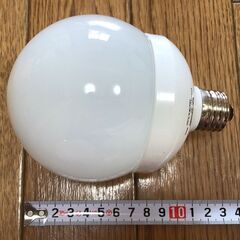 電球型蛍光灯／Panasonic製の画像