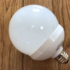 電球型蛍光灯／Panasonic製の画像