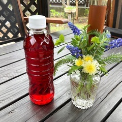 宮内石灰硫黄合剤　500ml