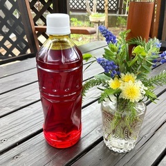 宮内石灰硫黄合剤500ml
