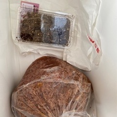 青イソメ 50g オキアミ 10切サイズ 釣り