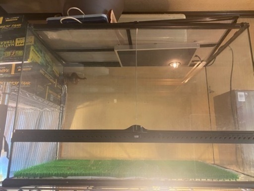 土曜日まで引き取り限定値下げ　爬虫類　ケージ　グラテラ9060