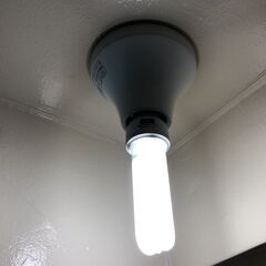 電球型蛍光ランプ／DAISO製の画像