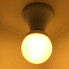 電球型蛍光灯／Panasonic製の画像
