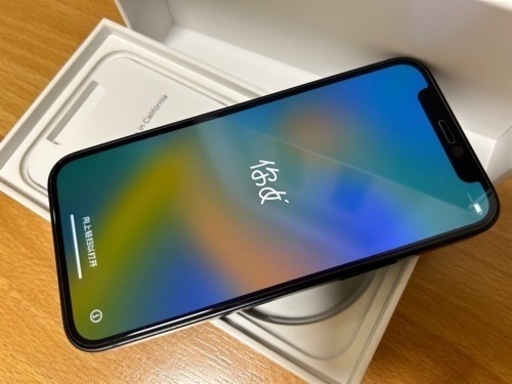 iPhone iPhone12 mini 128G