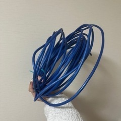 LANケーブル 10G対応 20mの画像