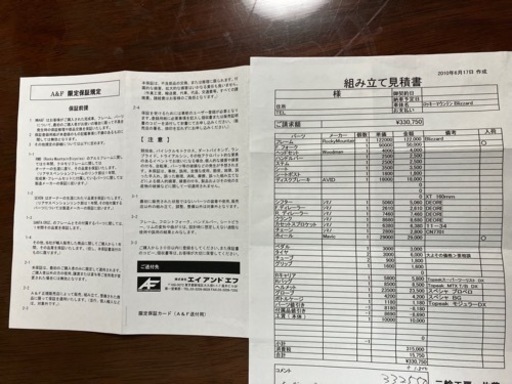 ロッキーマウンテン　ブリザード2010