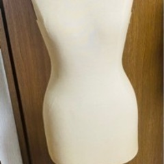 女性用 トルソー