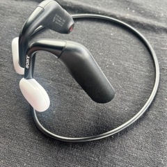 SONY フロートランの画像
