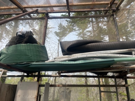 17ft トランポリン