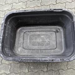 メダカ飼育品の画像