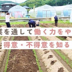 農業を学びたい求職中の方募集