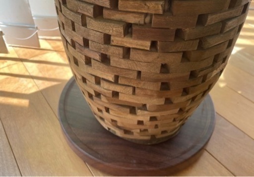 観葉植物　インペリアルゴールド