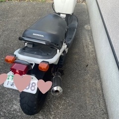 HONDA ホンダ　ズーマー　50cc  走行6630kmの画像