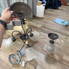 天井のライトお譲りします