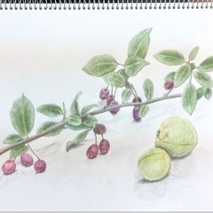 大阪市内で絵画教室をやってます🖼️ 初心者向け　少人数絵画教室　