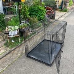 大型犬用　ケージ　クレート