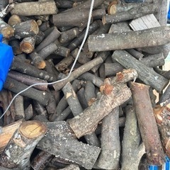 コロコロ薪積み放題‼︎の画像