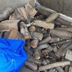 コロコロ薪積み放題‼︎